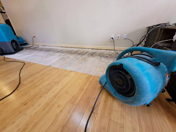 Professional Flood Damage Cleanup technician working in Pella, IA